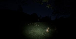 Random Shit