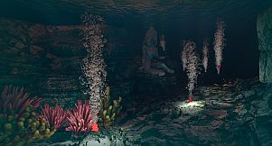 Team Disorder Special Edition