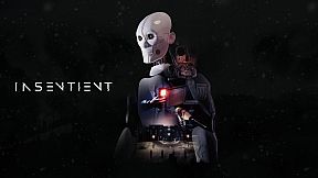 INSENTIENT