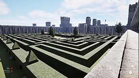 A Chicken In The Office