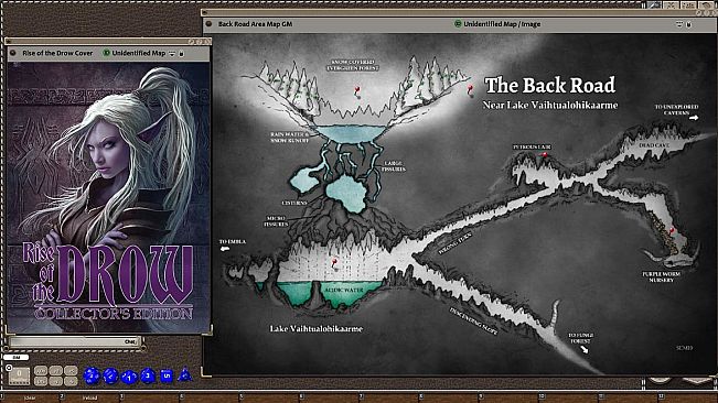 Fantasy Grounds - Rise of the Drow: Collector's Edition