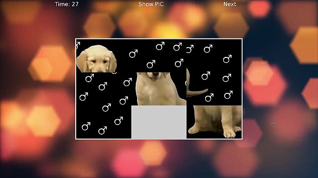 GACHIMUCHI M♂NLY PUZZLE