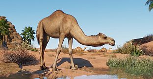 Planet Zoo: Arid Animal Pack