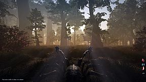 Trials of Ascension: Exile