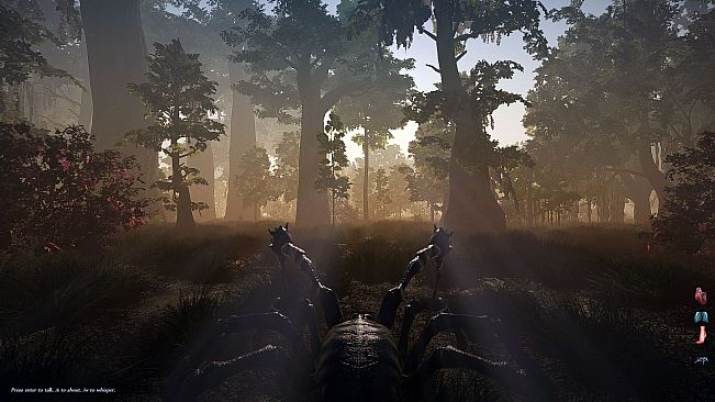 Trials of Ascension: Exile