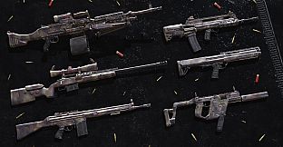 Insurgency: Sandstorm - Desert Veteran Weapon Skin Set