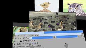 1 multi screen media player gallery video wall photo slideshow wizard app