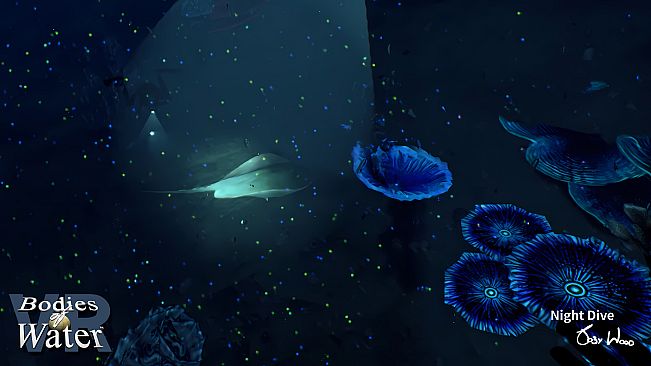 Bodies of Water VR