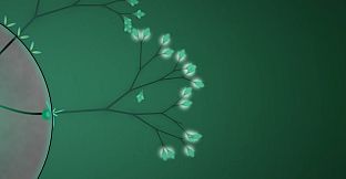 Eufloria 2