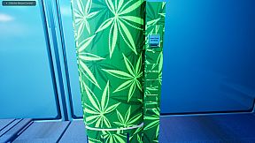 Elon Simulator - Spend Like A Trillionaire