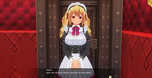 CUSTOM ORDER MAID 3D2 Character EX Pack Gyaru