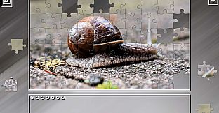 Super Jigsaw Puzzle: Generations - Random Animals 2