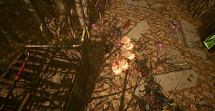 Shades Of Rayna - Warrior Class