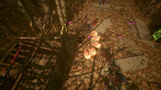 Shades Of Rayna - Warrior Class