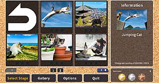 Jigsaw Masterpieces : Street Cats in Japan