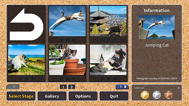 Jigsaw Masterpieces : Street Cats in Japan
