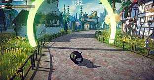 Cat Karting