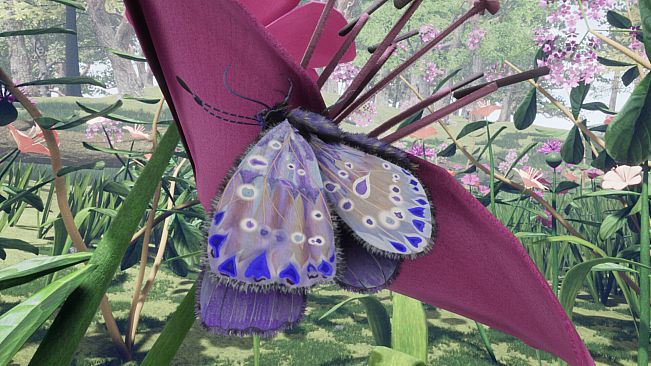 Butterfly Skins - Drunk On Nectar