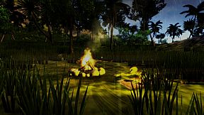 Survival Is Not Enough