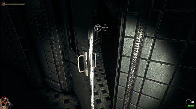 Horror in the Asylum