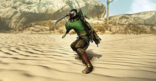 WARRIORS ALL-STARS: Zhou Cang-themed costume for Ryu Hayabusa