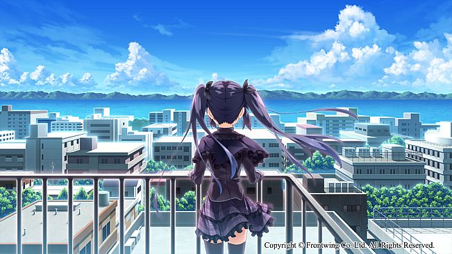 Himawari - The Sunflower -