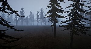 One Night In The House