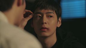 Tree's Love Crossing Above