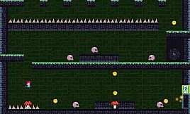 Ginger Shroom Journey