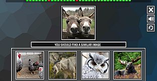 Repeat the image: Animals