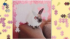 Athena, the rabbit - Jigsaw Puzzle
