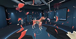 Animal Anatomy VR