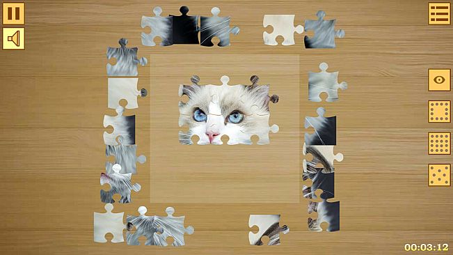 Jigsaw Puzzles