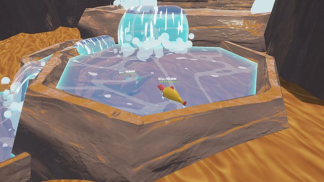 Salmon Jump