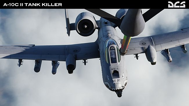 DCS: A-10C II Tank Killer