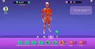 IDLE Animal Anatomy