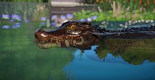 Planet Zoo: Aquatic Pack