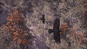 Tales from the Mabinogion