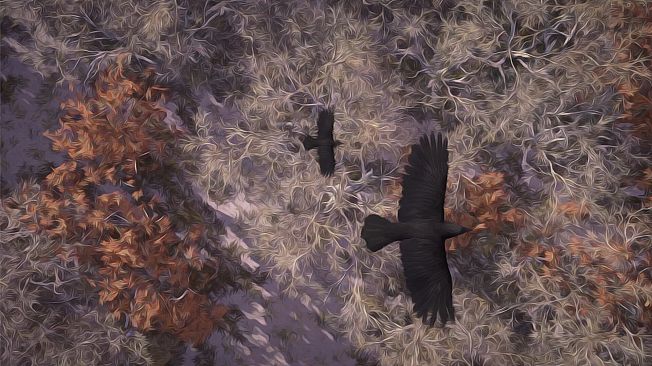 Tales from the Mabinogion