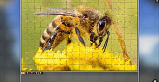 Jigsaw Puzzle Pack - Pixel Puzzles Ultimate: Variety Pack 21