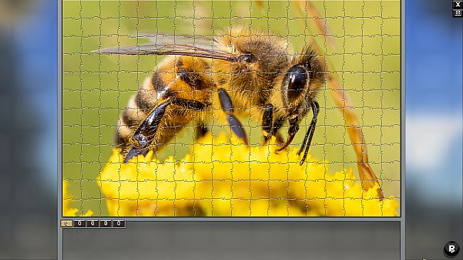 Jigsaw Puzzle Pack - Pixel Puzzles Ultimate: Variety Pack 21