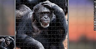 Jigsaw Puzzle Pack - Pixel Puzzles Ultimate: Animals