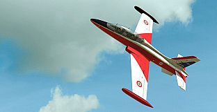 RealFlight Evolution - 2024 Year Content Pass