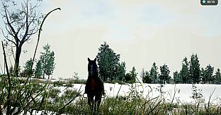 Horse Spirit Valley 2