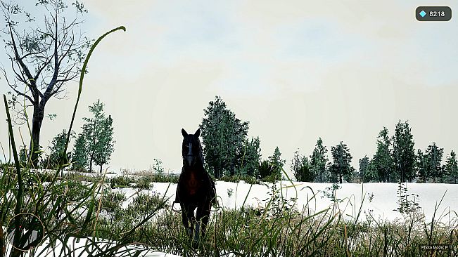Horse Spirit Valley 2