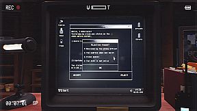 CASE RECORDS: Fear of Abduction