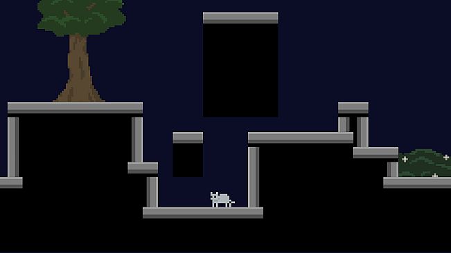 A Good Cat and The Graduate Life