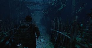 The Twilight Project