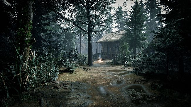 EXPEDITION : THE CULT