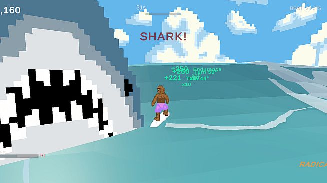 Monster Wave 3D Surfing